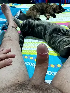 Snapshot of JFC161612 chatting on 7, 4, 2026 JFC161612 online show from 7, 4, 2026