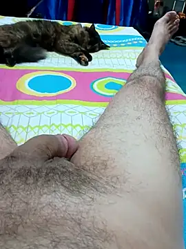 Snapshot of JFC161612 chatting on 8, 4, 2026 JFC161612 online show from 8, 4, 2026