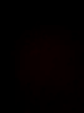 plump-bums online show from 16, 2, 2026