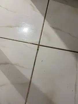 Snapshot of lopes22246 chatting on 19, 2, 2026 lopes22246 online show from 19, 2, 2026