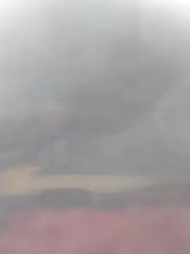 cobrosdepagos online show from 14, 3, 2026