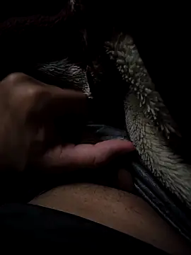 MoMnsi online show from 25, 2, 2026