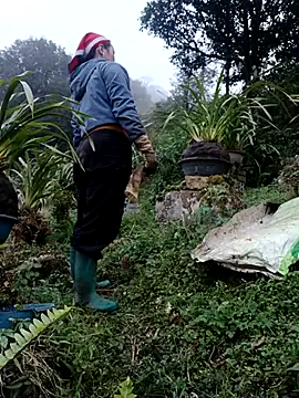 Snapshot of nelina_12345 chatting on 13, 2, 2026 nelina 12345 online show from 13, 2, 2026