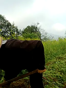 nelina 12345 online show from 26, 3, 2026