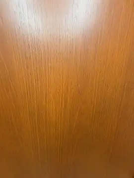 SANA-ch online show from 29, 3, 2026