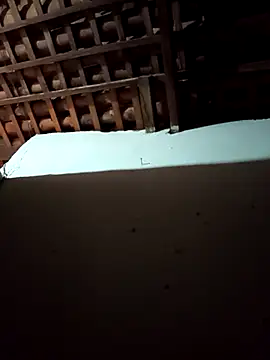 Snapshot of mykasantos20 chatting on 14, 2, 2026 mykasantos20 online show from 14, 2, 2026