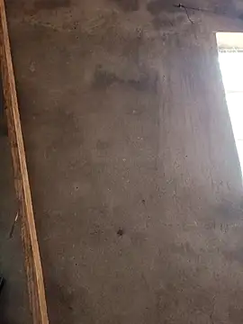 mollyboydick online show from 8, 3, 2026