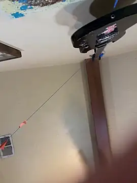 Snapshot of Link_and_Saria chatting on 1, 3, 2026 Link and Saria online show from 1, 3, 2026