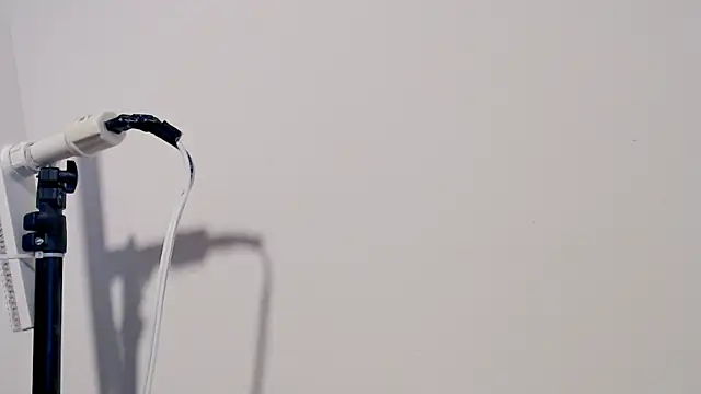 MARYXS1 online show from 24, 2, 2026