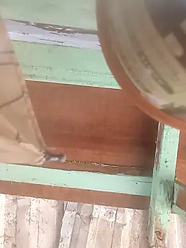 Snapshot of euchapo99 chatting on 19, 2, 2026 euchapo99 online show from 19, 2, 2026