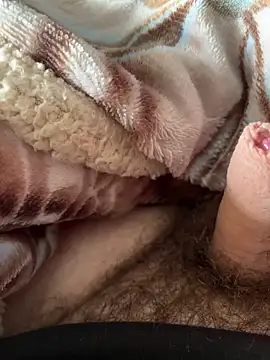 D4n13l47 online show from 5, 3, 2026