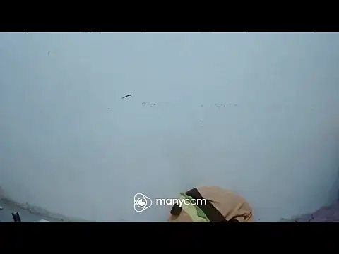 exotic girl69x online show from 4, 3, 2026