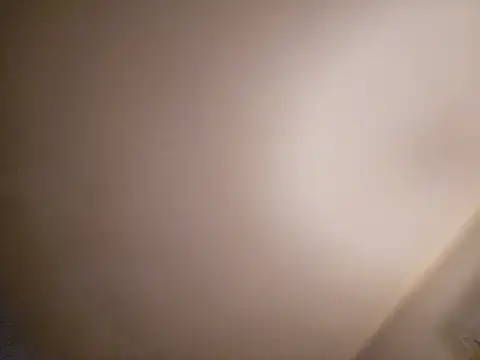 Schlongo420 online show from 23, 1, 2025