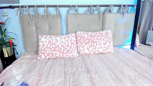 Snapshot of aurora_wander chatting on 24, 2, 2026 aurora wander online show from 24, 2, 2026