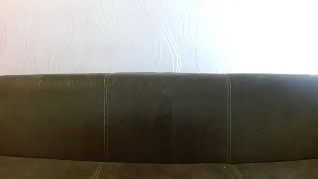 meowgary online show from 26, 2, 2026