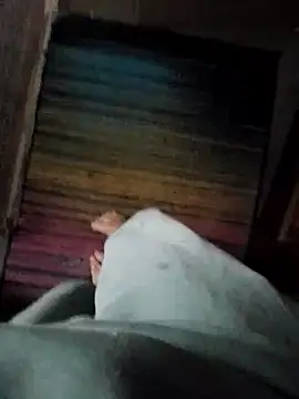 alfach29 online show from 25, 2, 2026