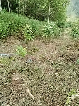 01 ANNA 01 online show from 27, 3, 2026