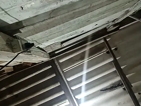 Mullinggri online show from 18, 3, 2026