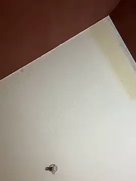 MoonGoddess424 online show from 24, 2, 2026