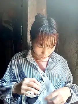 pic8800 online show from 26, 3, 2026