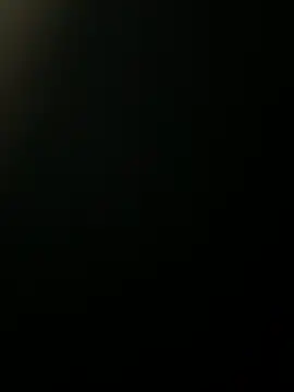 bimat1111 online show from 29, 3, 2026