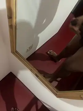 dvnd97 online show from 3, 4, 2026