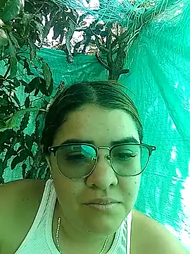 single kitten online show from 20, 3, 2026