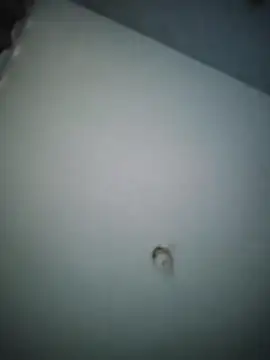 Snapshot of misteriosocam40 chatting on 9, 4, 2026 misteriosocam40 online show from 9, 4, 2026