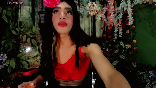 Tait  online show from 3, 3, 2026