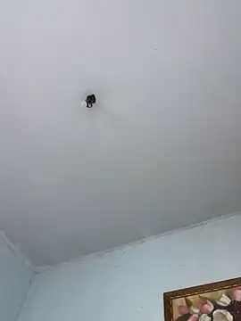 BigBig024 online show from 8, 3, 2026