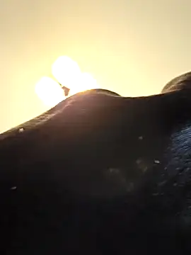 KinkyKittyBoy online show from 19, 4, 2026