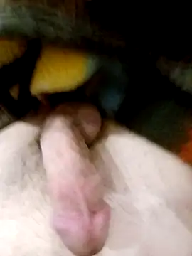 Adix 02six online show from 10, 3, 2026