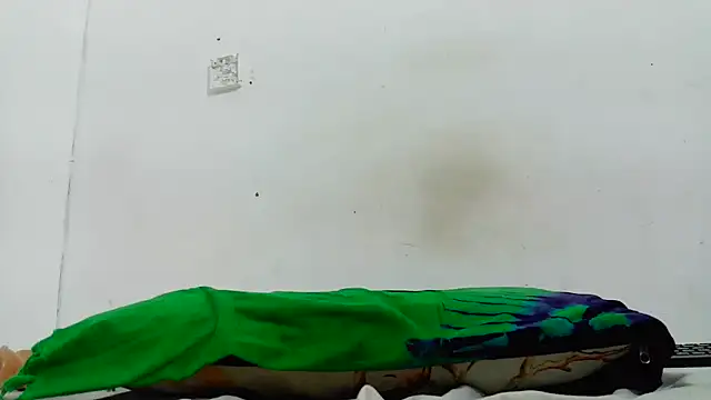 pinkycat online show from 16, 4, 2026