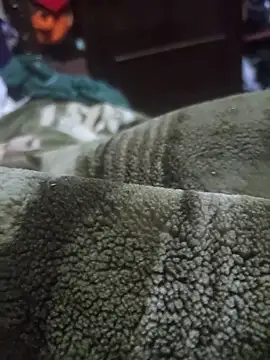 Pop1977 online show from 6, 4, 2026