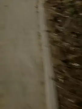 MarekPublicShow online show from 3, 3, 2026