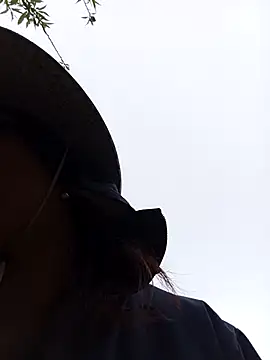 Yellow-pink online show from 13, 3, 2026