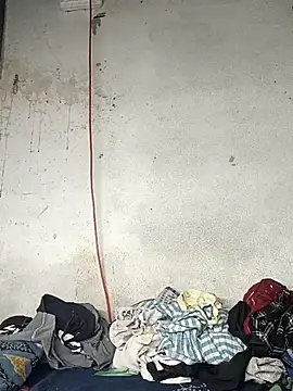 Delhi Patola online show from 18, 4, 2026