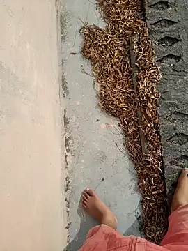 Desii rockstarr online show from 14, 3, 2026