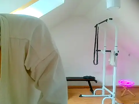NinjaLaser online show from 13, 4, 2026