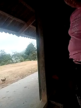 kalara kail online show from 31, 3, 2026