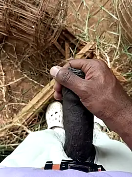 sanju 5418 online show from 8, 4, 2026