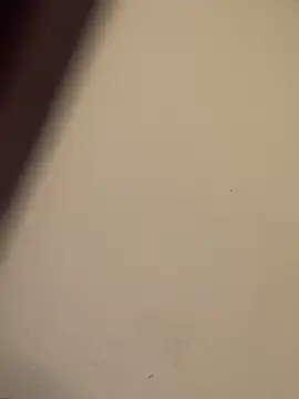 Snapshot of buivali00 chatting on 15, 3, 2026 buivali00 online show from 15, 3, 2026