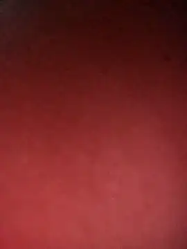 leidi-95- online show from 7, 4, 2026