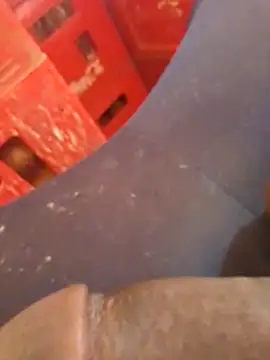 1exidi online show from 4, 6, 2026