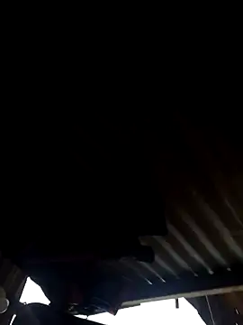 leitan01 online show from 21, 3, 2026