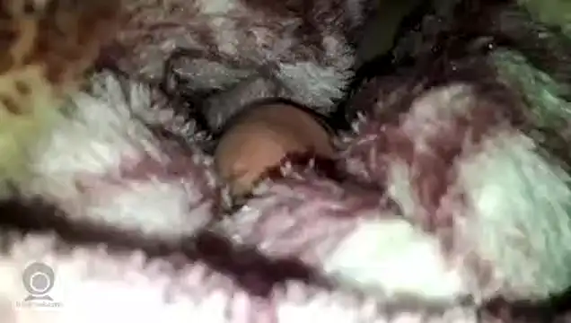 Snapshot of yarar_can chatting on 27, 3, 2026 yarar can online show from 27, 3, 2026