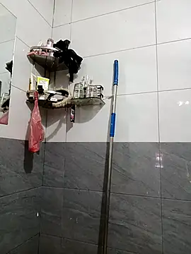 Aurora Nova online show from 2, 5, 2026
