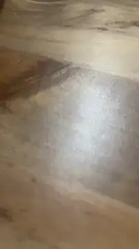 SweetKami online show from 17, 4, 2026