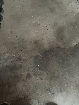 Shawnronald420861 online show from 26, 4, 2026