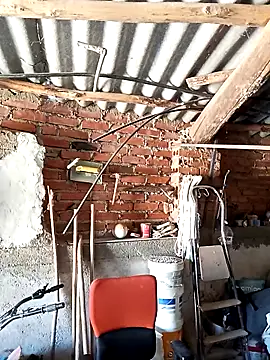 mecaloco online show from 5, 4, 2026